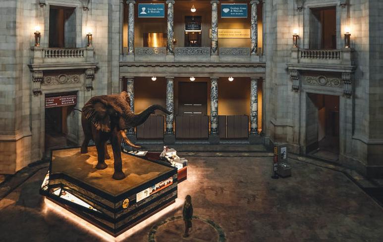 Museum interior at night