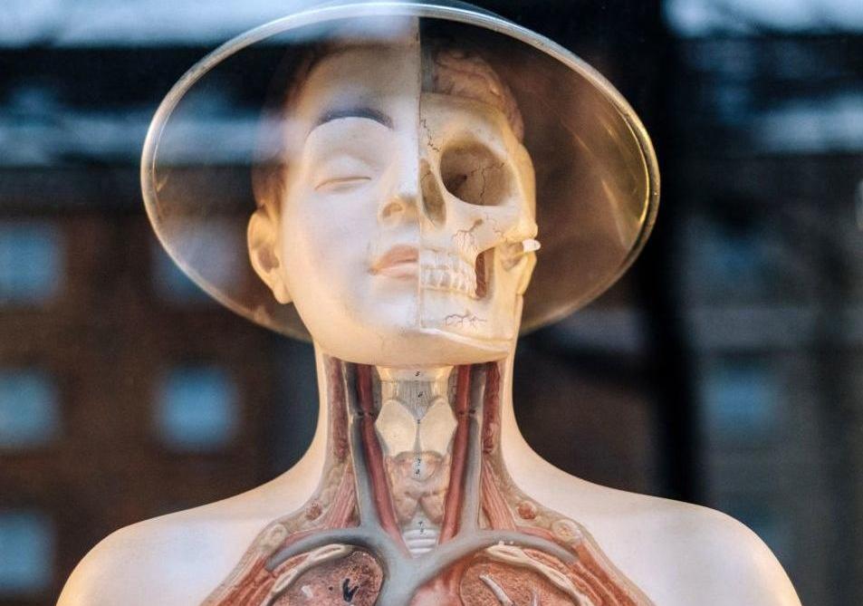 Scientist looking through microscope